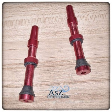 Válvula con Obús Desmontable