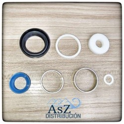 Kit Mantenimiento Rock Shox Reverb WSS