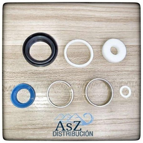 Kit Mantenimiento Rock Shox Reverb WSS