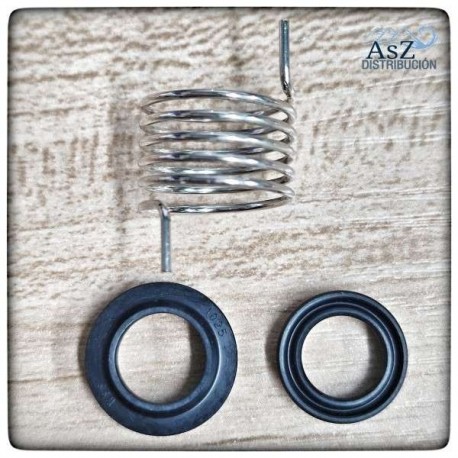 Kit Mantenimiento Charger 2 y 2.1 WSS