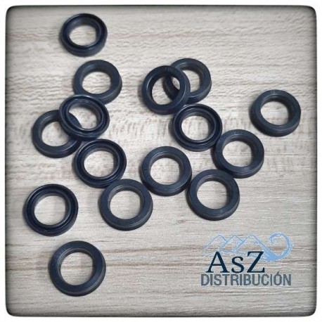 Junta Cabeza Cartucho Rock Shox charguer 2/ 2.1 WSS