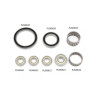 Mantenimiento motor E-Bike Shimano Steps E8000 (rodamientos, retenes y juntas toricas)