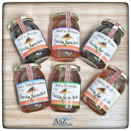 Miel Garcia Sanchón